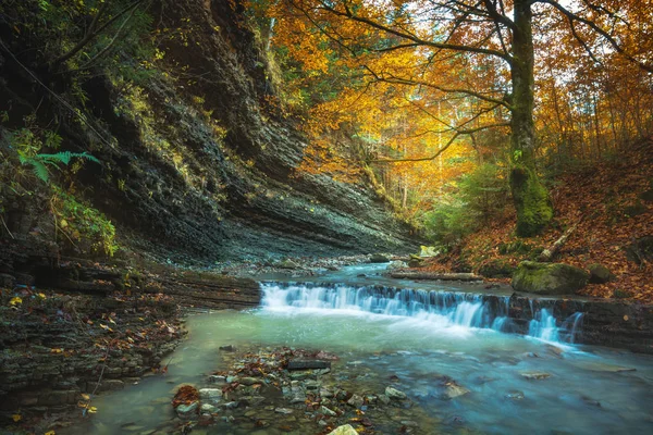Herbstlicher Karpatenwald — Stockfoto