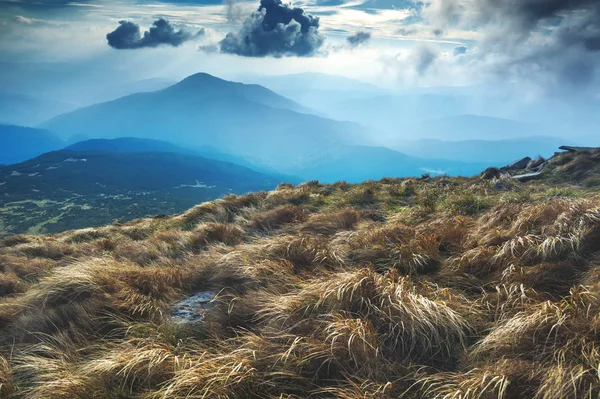 Çim ve dağ — Stok fotoğraf