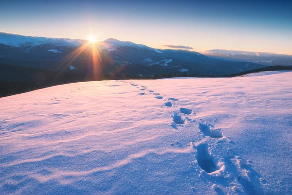 Het spoor van voetafdrukken op een verse sneeuw — Stockfoto