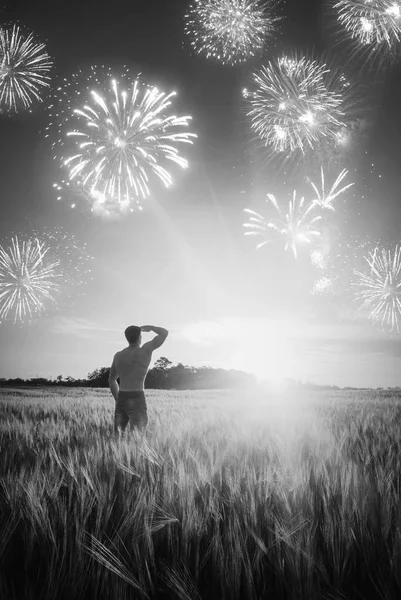 Feuerwerk über dem Feld. schwarz-weiß — Stockfoto
