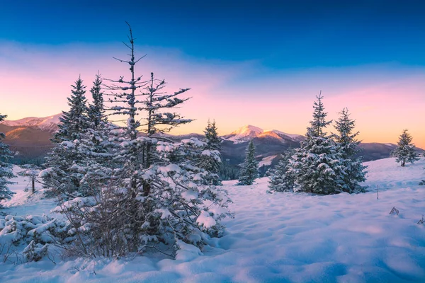 Morgen in einem Karpaten-Winter-Gebirgstal — Stockfoto