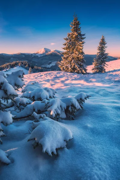 Winter am frühen Morgen — Stockfoto