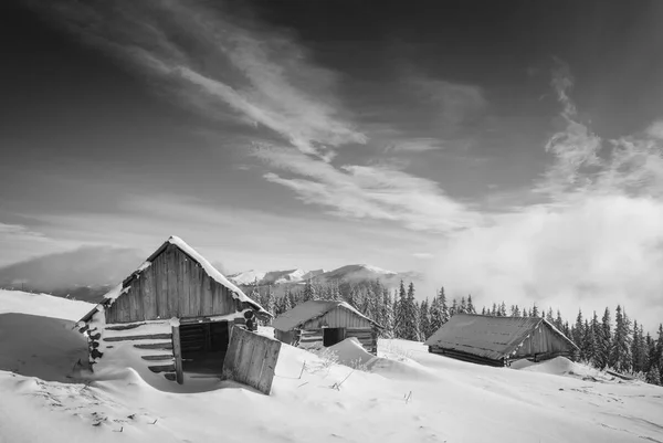 Casas de los Cárpatos. Blanco y negro —  Fotos de Stock
