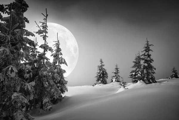 Noche de luna de Cárpatos. Blanco y negro — Foto de Stock