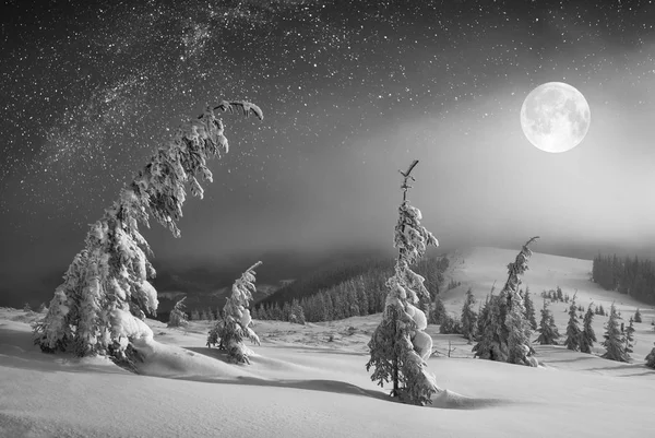 Numa luz de lua nascente. Preto e branco — Fotografia de Stock
