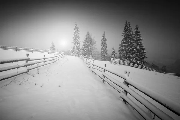 Majestuoso amanecer brillante en un valle. Blanco y negro —  Fotos de Stock