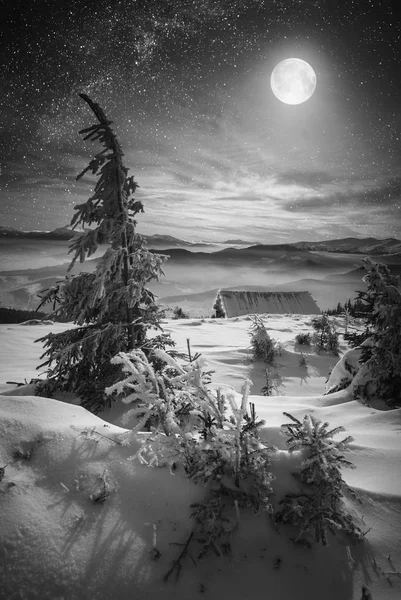 Salida de la luna en Navidad noche de invierno. Blanco y negro — Foto de Stock