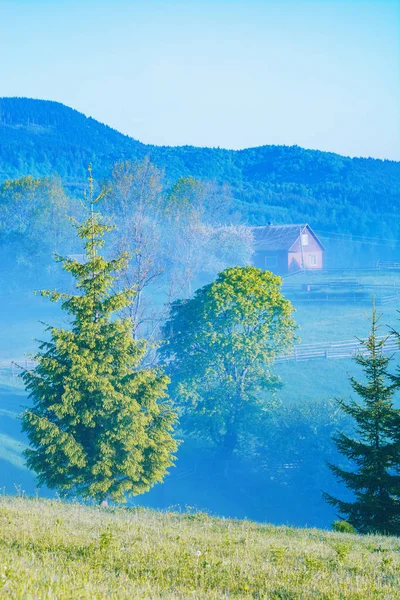 Hermosas colinas verdes por la mañana —  Fotos de Stock