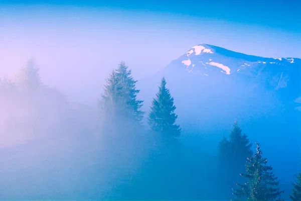 青い霧谷 — ストック写真