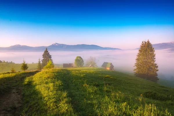 Чудесное утро в Карпатской долине — стоковое фото