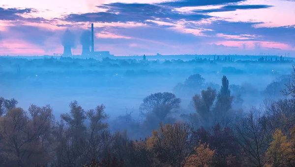 Mattina presto in una valle ricoperta di nebbia blu — Foto Stock