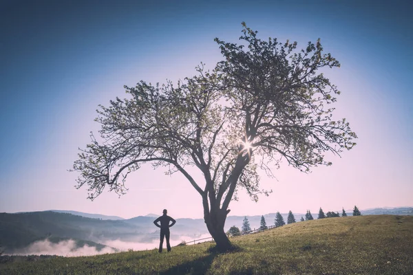 나무 아래 언덕에 남자입니다. Instagram 양식에 일치 시키 — 스톡 사진