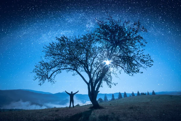 Одинокое дерево под ночным небом — стоковое фото