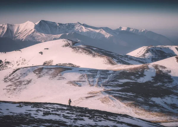 Keres egy telek. Instagram Stilizálás — Stock Fotó