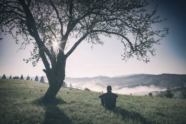 Muž sedí na kopci pod stromem. Instagram stylizace — Stock fotografie