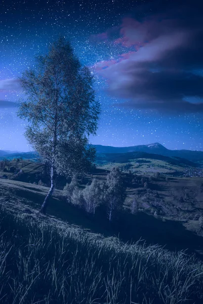 Beautiful spring Carpathian valley at night — Stock Photo, Image