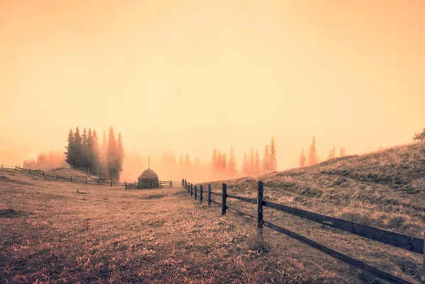 Village meadow covered with magic golden fog — Stock Photo, Image