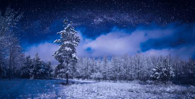 Güzel kış gece yıldızlı gökyüzü kar ahşap yukarıda