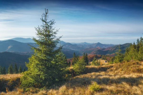 Karpat Vadisi sonbahar çim kaplı