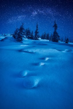 Ay ışığında aydınlatılmış peri kış orman