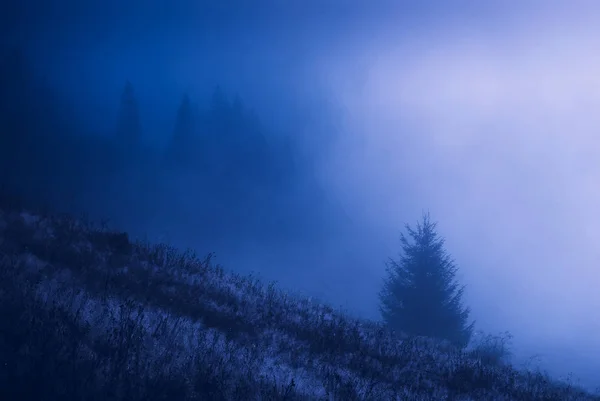 Karpatské mlhavé údolí v noci — Stock fotografie