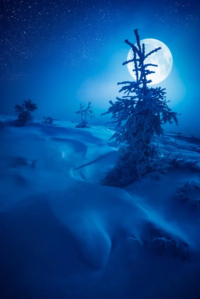 Mond geht über schneebedecktem Wintertal auf — Stockfoto