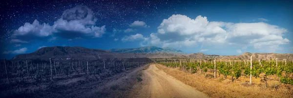 La carne del día y la noche por encima de los viñedos — Foto de Stock