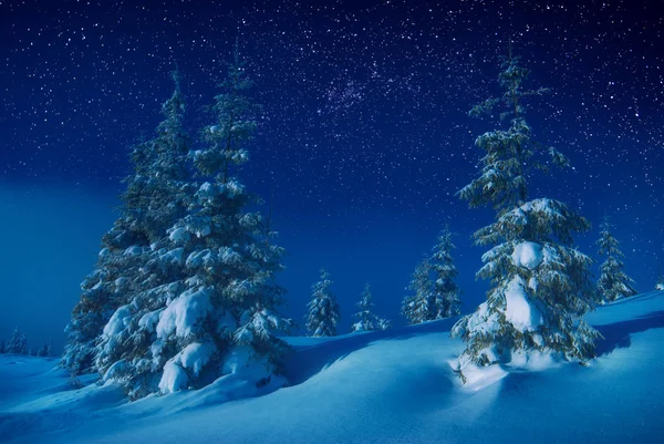 Долина покрыта снегом в лунном свете — стоковое фото