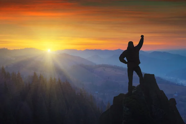 Úspěšný muž, který stojí na vrcholu hory — Stock fotografie