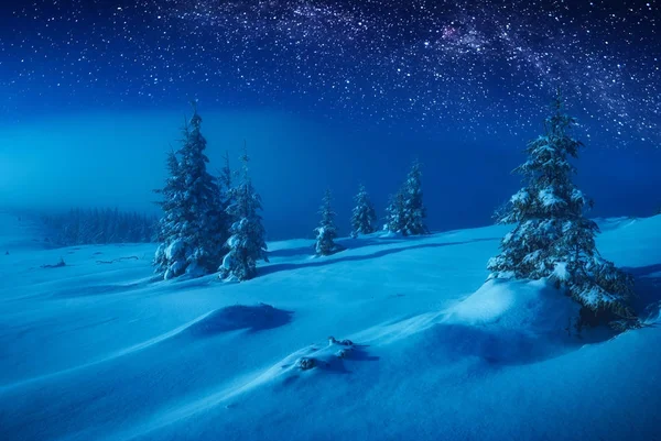 Зимняя долина фей, покрытая снегом в лунном свете — стоковое фото