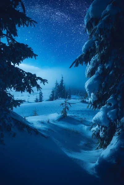 Κοιλάδα που καλύπτεται με φρέσκο χιόνι στο ένα φως του φεγγαριού — Φωτογραφία Αρχείου