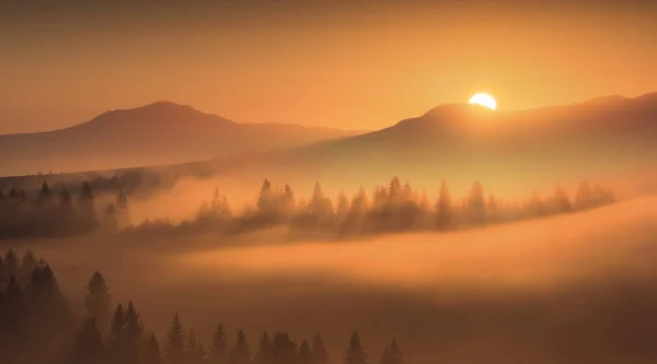 Eerste gouden stralen van de rijzende zon — Stockfoto