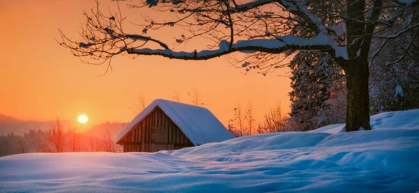 Gefrorener Wintermorgen in Yaremche — Stockfoto