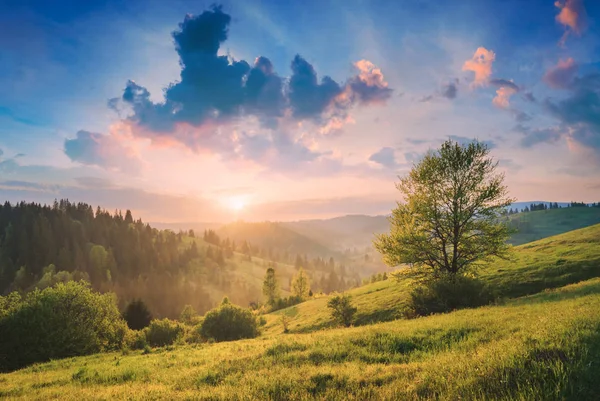 Bela natureza de carpathians — Fotografia de Stock