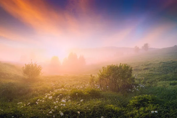 Bright misty morning with majestic pink clouds — Stock Photo, Image
