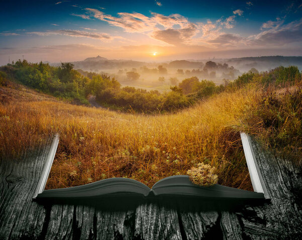 Summer misty valley in a light of sunrise on the pages of an open magical book. Majestic landscape. Nature concept.