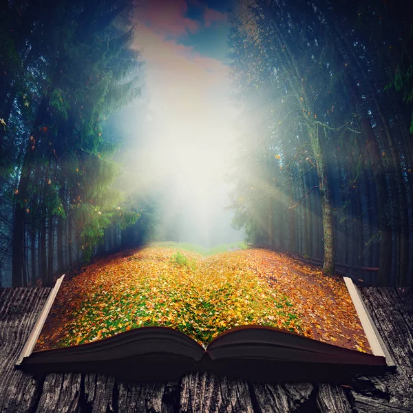 Weg durch den Märchenwald auf dem Buch — Stockfoto