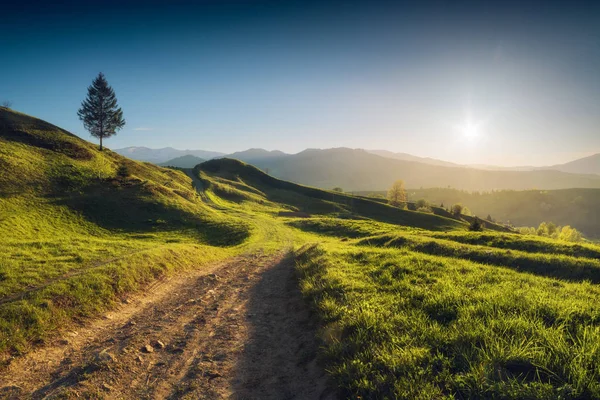 Pradera de los Cárpatos cubierta de hierba fresca — Foto de Stock