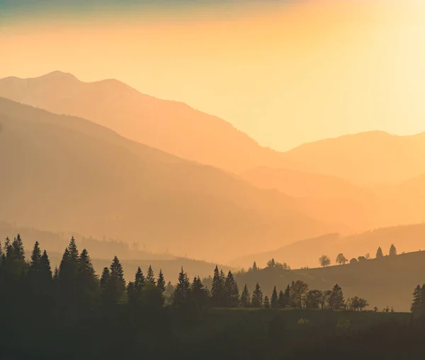 夕日の美しい光の山 — ストック写真