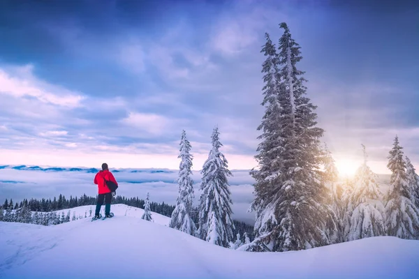 Aktivní muž vychutnat karpatské zimní krajiny — Stock fotografie