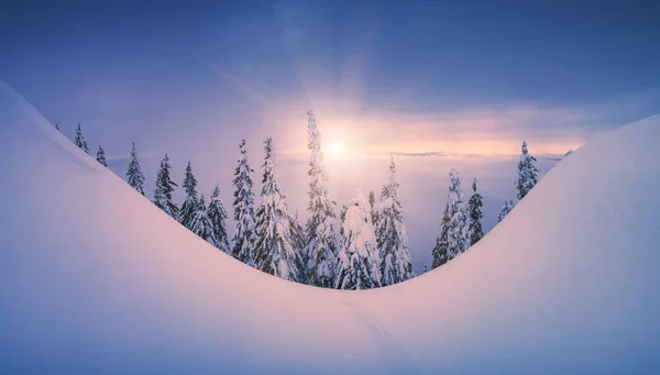 Majestuoso valle del invierno de los Cárpatos — Foto de Stock