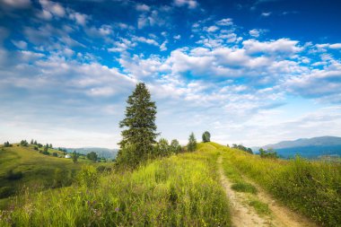 Karpatya Alp köyünün otlak tepeleri