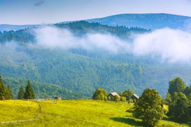 Bahar çayırındaki Alp Dağı köyü. Güzel, huzurlu bir manzara. Karpatlar, Ukrayna, Avrupa