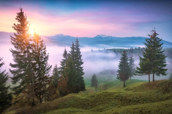 清晨时分 喀尔巴阡山脉雾蒙蒙的山谷 雄伟的秋天风景 乌克兰的野生性质 — 图库照片