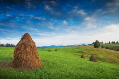 Gün batımında çayırda saman yığınları olan Alp Dağı vadisi. Güzel, huzurlu bir manzara. Karpatlar, Ukrayna, Avrupa