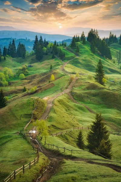 日の出に春の草で覆われたおとぎ話の丘陵 カルパチア山脈の谷 ウクライナの野生自然 — ストック写真