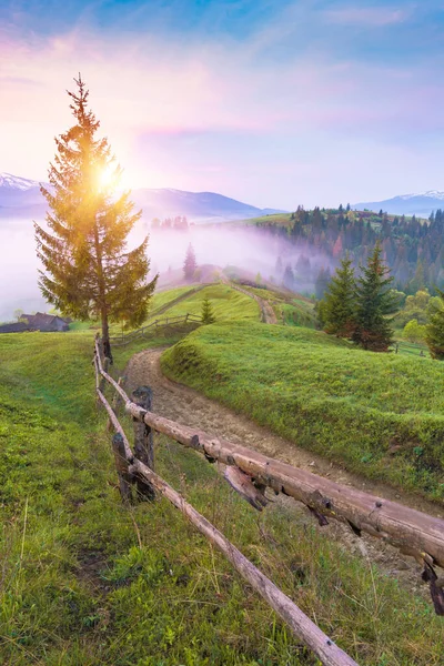 Old Dirt Road Carpathian Misty Mountain Valley Early Morning Spring — Stock Photo, Image