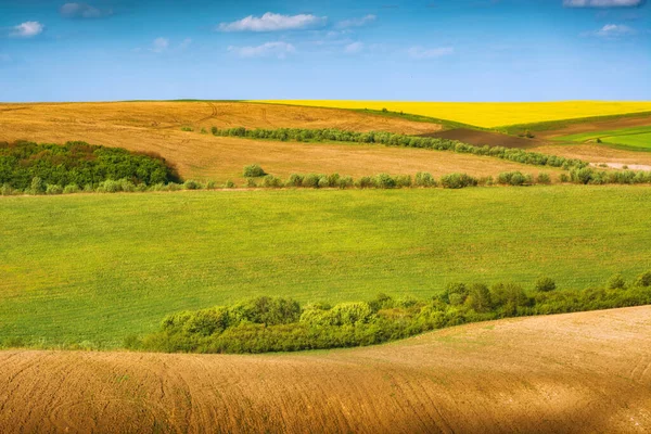 Coloridos Campos Mola Rolante Majestoso Natureza Ucraniana — Fotografia de Stock