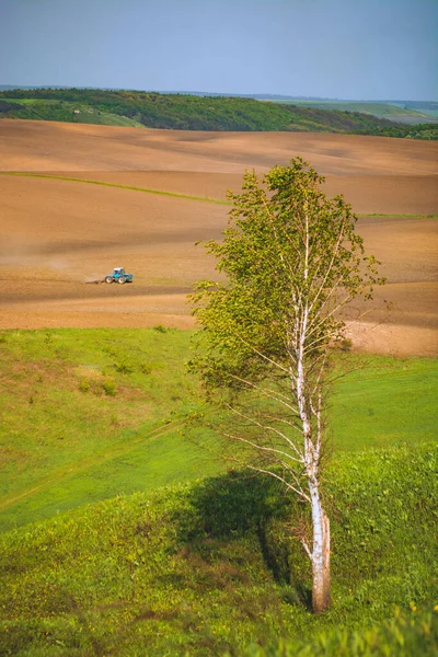 Paisaje Primavera Con Tractor Campo Luz Del Atardecer Ucrania Agricultura —  Fotos de Stock