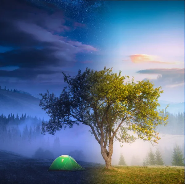 昼も夜も 牧草地の大きな木の下の旅行観光客のテント 概念的な風景 — ストック写真